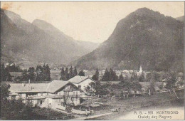 HAUTE SAVOIE MONTRIOND CHALETS DES PLAGNES - Sonstige & Ohne Zuordnung