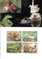 United Nations (UNO) : Maximum Card 2000 : Endangered Animals - Otros & Sin Clasificación