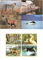 United Nations (UNO) : Maximum Card 2000 : Endangered Animals - Other & Unclassified