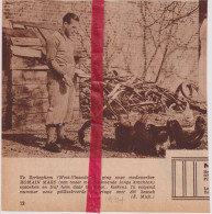 Koers Wielrennen Coureur Romain Maes Thuis Te Zerkegem - Orig. Knipsel Coupure Tijdschrift Magazine - 1934 - Non Classés