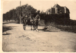 Photographie Vintage Photo Snapshot Deauvile Attelage Carriole Fiacre - Orte