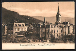 AK Heidelberg, Paedagogium Neuenheim Mit Umgebung Aus Der Vogelschau  - Heidelberg