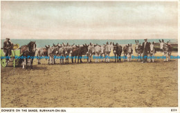 R638838 Burnham On Sea. Donkeys On The Sands. E. A. Sweetman. Solograph Series D - Monde