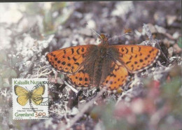 Groenland CM 1997 279 Papillons Colias Hecla - Butterflies