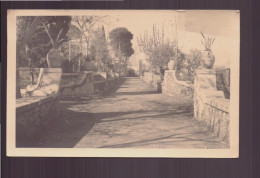 CARTE PHOTO D UNE ALLE AVEC FLEURS ET ARBRES - Photographs