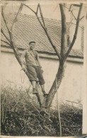 Man In Tree Vintage Instant Photo Postcard - Photographs