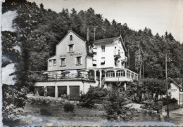 CPSM - S - HAUT RHIN - RIBEAUVILLE - HOTEL RESTAURANT LA PEPINIERE - Ribeauvillé