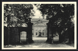 AK Dahlen I. Sa., Schlossportal, Blick In Den Hof  - Dahlen