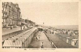 CPA Cabourg-La Plage Et La Digue   L319 - Cabourg