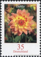 Bund 2006, Mi. 2505 R ** - Unused Stamps