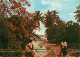 Martinique - Schoelcher - Embouchure De La Rivière Touza - CPM - Voir Scans Recto-Verso - Sonstige & Ohne Zuordnung