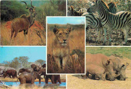 Afrique Du Sud - Wildlife - Multivues - Rhinoceros - Zèbres - South Africa - CPM - Voir Scans Recto-Verso - Afrique Du Sud