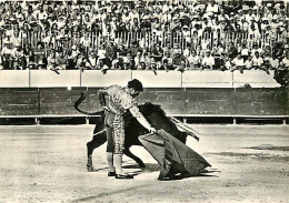 Corrida - Un Derechazo - CPM - Voir Scans Recto-Verso - Corrida