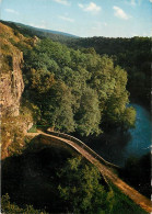 89 - Pierre-Perthuis - La Cure - Le Pont Romain - Etat Léger Pli Visible - CPM - Voir Scans Recto-Verso - Other & Unclassified