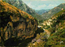 48 - Les Gorges Du Tarn - Sortie Des Détroits Vers Les Baumes - CPM - Voir Scans Recto-Verso - Gorges Du Tarn