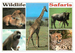 Animaux - Wildlife Of East Africa - Multivues - Safaris - CPM - Voir Scans Recto-Verso - Otros & Sin Clasificación