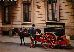 Animaux - Chevaux - CPM - Voir Scans Recto-Verso - Caballos