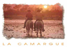 Animaux - Chevaux - Camargue - Gardians Dans Les Marais - CPM - Voir Scans Recto-Verso - Paarden