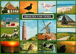 Pays-Bas - Nederland - Texel - Multivues - CPM - Voir Scans Recto-Verso - Texel