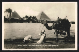 AK Cairo, Moslems Morning Prayer Near Pyramids  - Non Classificati