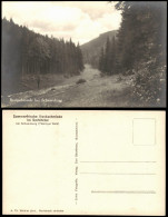 Ansichtskarte Bockschmiede-Döschnitz Bockschmiede Bei Schwarzburg 1940 - Andere & Zonder Classificatie