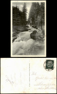 Pobershau-Marienberg Im Erzgebirge Partie Im Schwarzwassertal 1931 - Marienberg