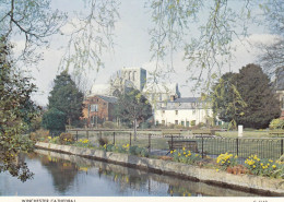 Postcard Winchester Cathedral Hampshire  My Ref B26503 - Winchester