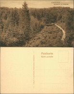 Ansichtskarte Lüdenscheid Waldpartie Bei Hellersen 1912 - Lüdenscheid
