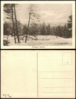 "Sonniger Schnee" Winter-Ansichtskarte (Schnee/Eis) / Stimmungsbild 1920 - Sin Clasificación