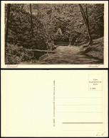 Ansichtskarte Eisenach Umland-Ansicht, Wald Partie Im Annatal 1930 - Eisenach