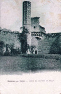 03 - Allier -  Environs De Vichy -  Ruines Du Chateau De BILLY - Autres & Non Classés