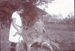 Photo Originale -1924 -Tanzania ( Tanganyika ) Deutsch Ostafrikas -TANGA - Antilope Guib Et Ouistiti  A La Ferme - Lugares