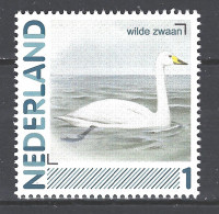 NVPH Netherlands Nederland Niederlande Pays Bas MNH; Wilde Zwaan Swan Cisne Cygne Vogel Bird Ave Oiseau - Cygnes