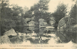  77  FORET DE FONTAINEBLEAU   LA MARE AUX BICHES - Fontainebleau