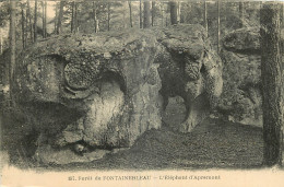  77  FORET DE FONTAINEBLEAU   L'ELEPHANT D'APREMONT - Fontainebleau