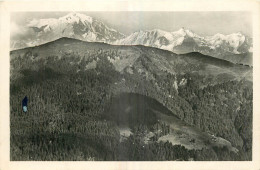 74  AU COL  DES ARAVIS  CHAINE DU MONT BLANC  VUE DE LA CROIX DE FER  L. MORAND  MEGEVE - Autres & Non Classés