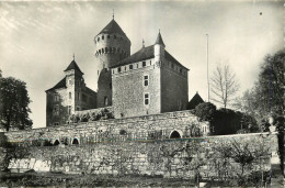 74  ANNECY  CHATEAU DE MONTROTTIER  VUE GENERALE SUD EST  Collection De L'academie Florimontane - Annecy