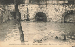 E559 PARIS Inondations 1910 La Fosse Aux Ours - Alluvioni Del 1910