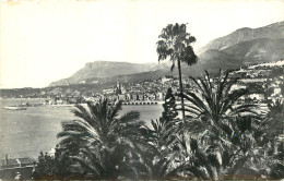 06  MENTON  - Menton