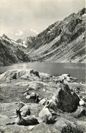 65  PYRENEES  LAC DE GAUBE - Other & Unclassified