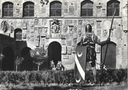 AREZZO - GIOSTRA DEL SARACINO - PALAZZO DEI PRIORI - TROMBETTI - 1955 - Arezzo