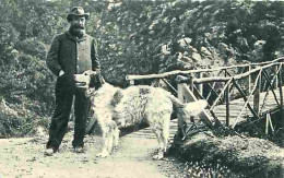 64 - Bétharram - Monsieur Léon Ross Directeur Des Grottes - Animée - Chiens - CPA - Voir Scans Recto-Verso - Lestelle-Bétharram