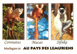 Madagascar - Au Pays Des Lémuriens - Multivues - Coronatus - Macao - Sifaka - CPM - Voir Scans Recto-Verso - Madagascar