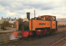 Trains - Trains - Prince Of Wales - Vale Of Rheidol Raiiway - Published By Harold Lewis Of Station Bookstall Aberystwyth - Treinen