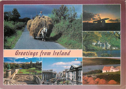 Irlande - Multivues - Chevaux - Paysans - Foin - Ireland - CPM - Voir Scans Recto-Verso - Andere