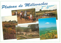 19 - Corrèze - Plateau De Millevaches - Multivues - Chevaux - Carte Neuve - CPM - Voir Scans Recto-Verso - Sonstige & Ohne Zuordnung