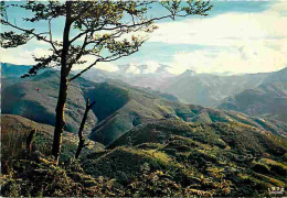 09 - Foix - Aux Environs De Foix - La Route Verte Au Col Des Marrous - Carte Neuve - CPM - Voir Scans Recto-Verso - Foix