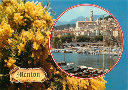 06 - Menton - Le Port - Mimosas En Fleurs - CPM - Carte Neuve - Voir Scans Recto-Verso - Menton