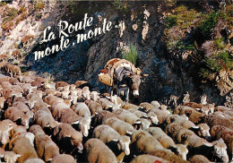 Animaux - Moutons - Carte Humoristique - La Route Monte , Monte - Anes - Transhumance - CPM - Voir Scans Recto-Verso - Andere & Zonder Classificatie