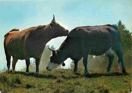 Animaux - Vaches - Cloche - CPM - Voir Scans Recto-Verso - Cows